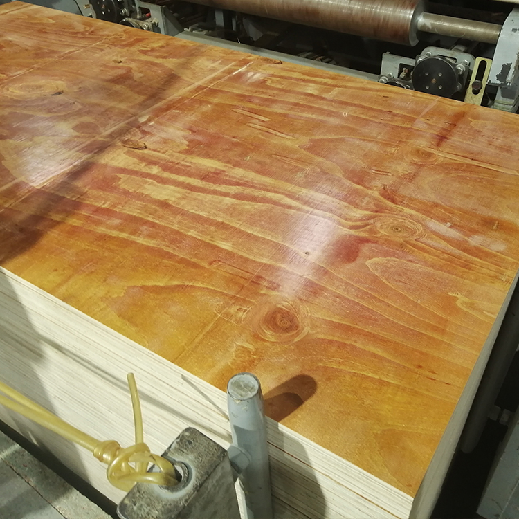 1652945181135273.jpg 3.jpg